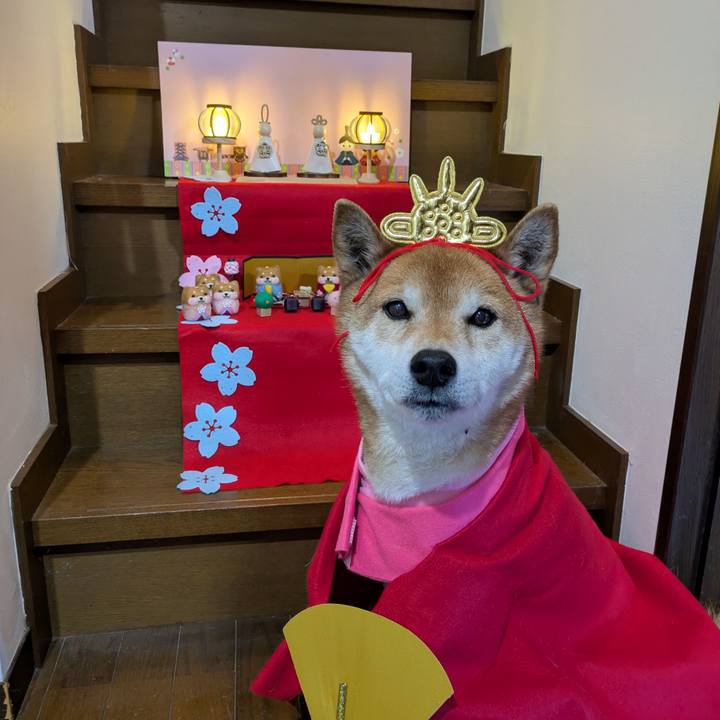 8138b6ed b82c 426d 8348 612ab97a5777 1740988800285