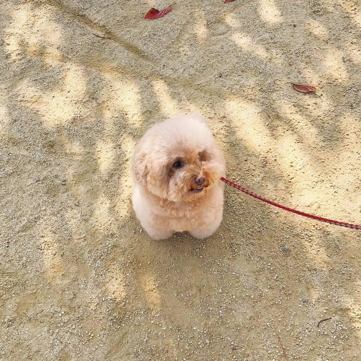 8138da64 5b51 4eec 8ce4 464c69fa2bbc 1509676451741