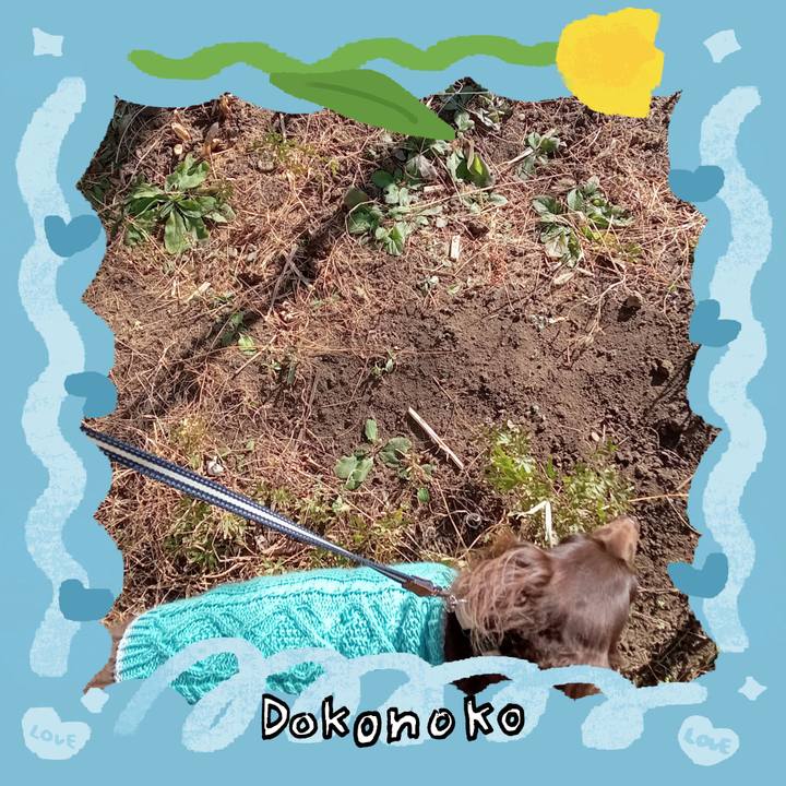 8138ec11 87e8 496e bb2a 5578a2a367b2 1772229451345