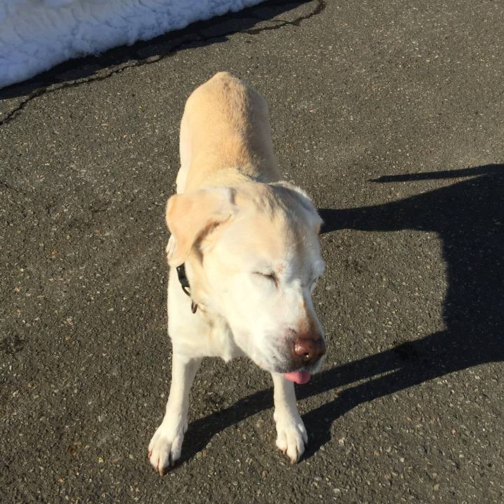 813938c3 5cef 48da ad76 4d2ac7a2c444 1518589293072