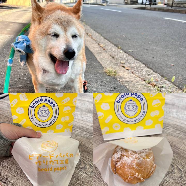 81395921 58ca 4b35 8bc8 69eb3504f289 1754741408369