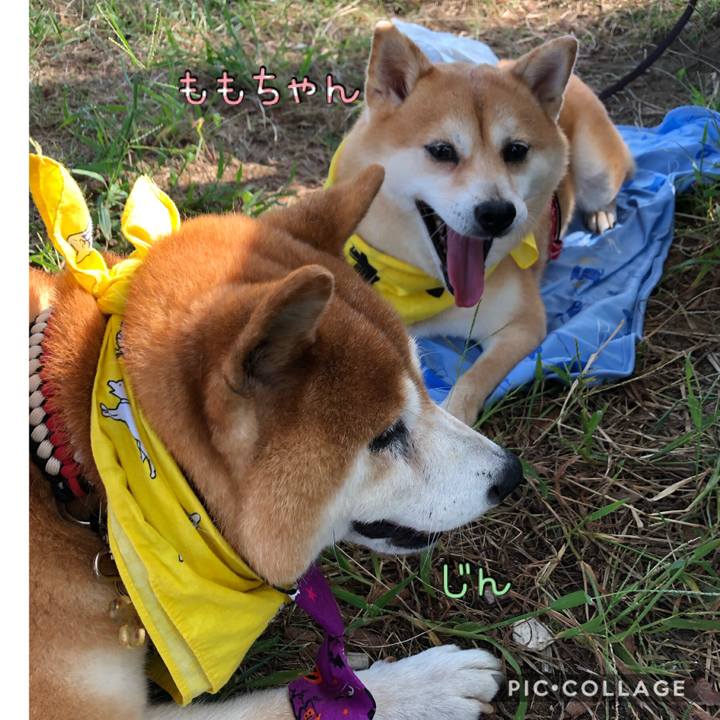 8139bd3b ff8c 493c b3af ca65e6a13096 1570333358957