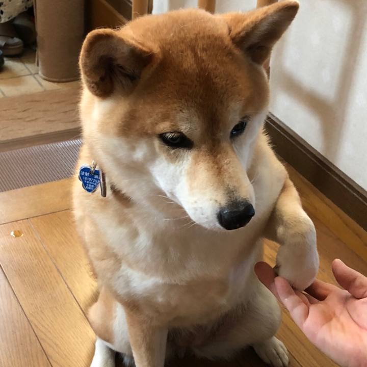 813a27ac 51b0 4e60 b452 9bc79498c3b4 1536162154335