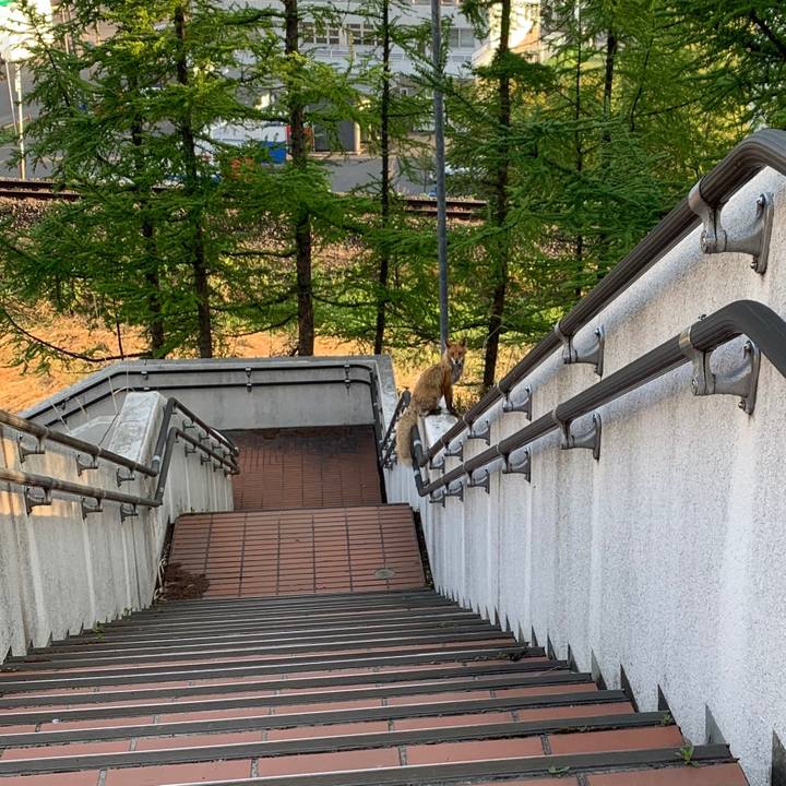 813a49f5 72e9 4415 acb7 e047499f9ae5 1558041829331