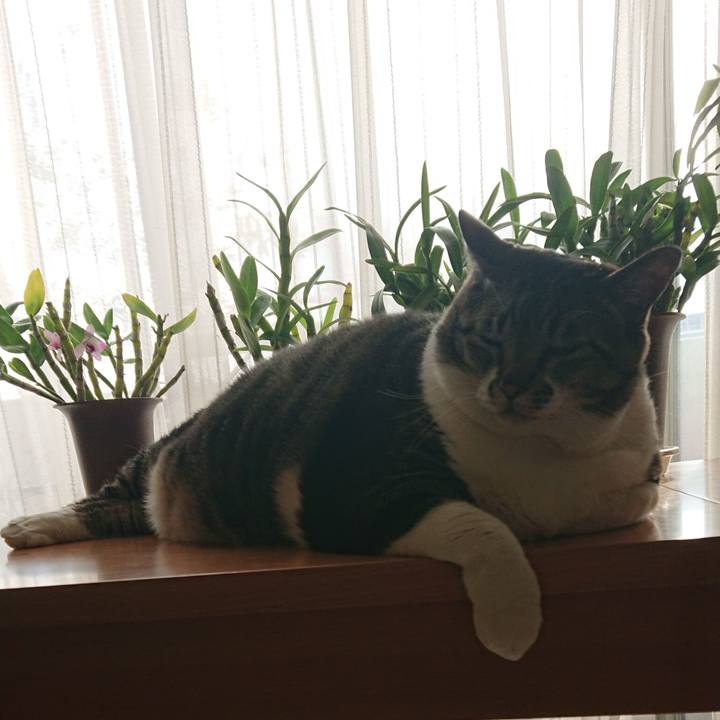 813a4a32 a815 46a1 94f7 55a3cd289cad 1581813875157