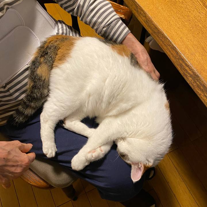 813a5869 5aaf 4e91 a44c 5abd557cc51f 1758626106209