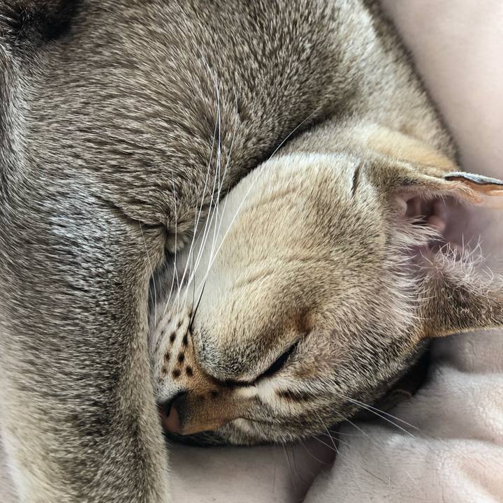 813a6808 5604 4ad5 8ffd a6422d63d42b 1550974477479