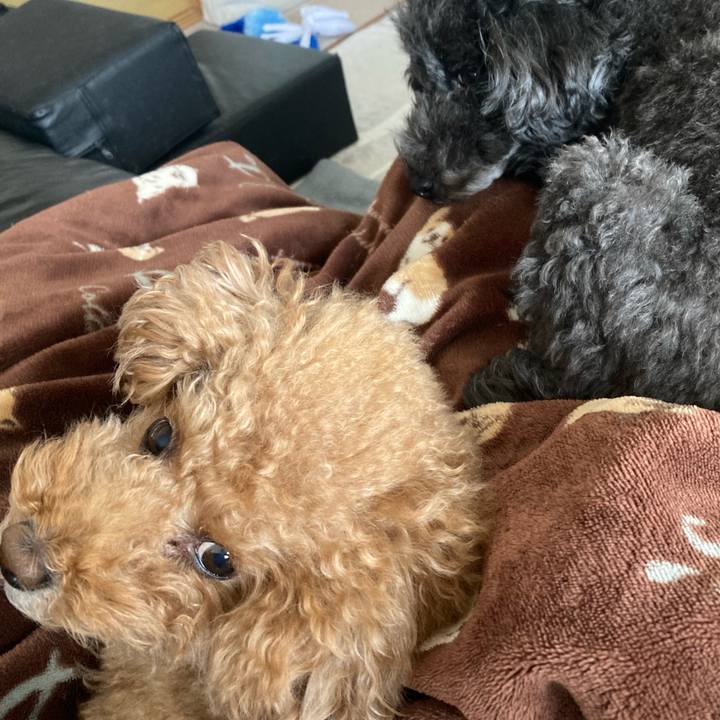 813a88a9 85cd 4827 8be2 753faeeeecfb 1670989718482