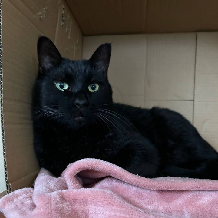 813a9bc1 6a97 4f51 9c53 0ca355c97b30 1728391650884