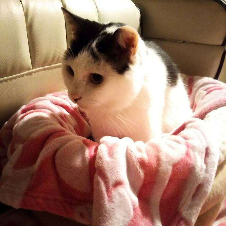 813ab02a cdd9 4896 966e 5fed603dfc4c 1575304043899