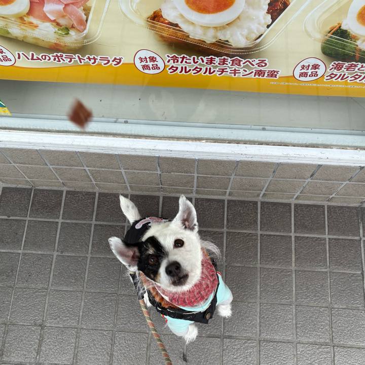 813aea62 15f9 4701 b48d b983be799eca 1769561934453