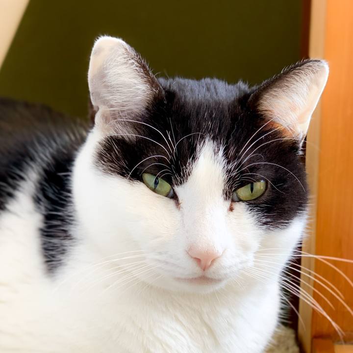 813af087 85d5 41a9 8a5b 90b4646b2b29 1584756477189