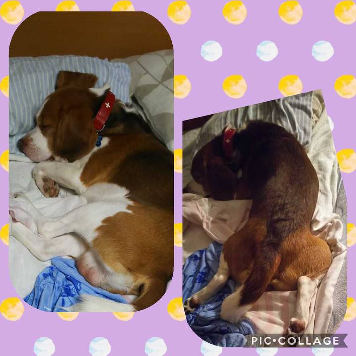 813b05da 0c64 4695 ab34 3ef3c43aa560 1598885181724