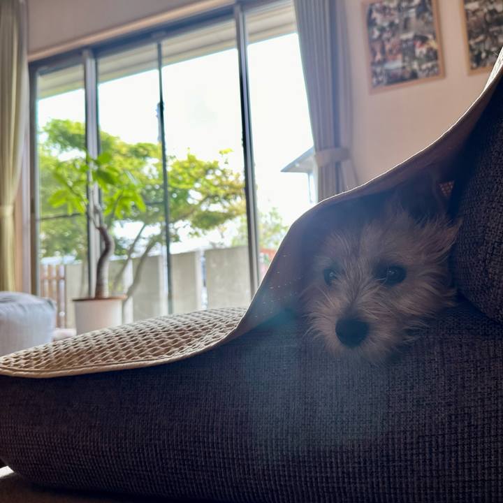 813b1511 b375 4180 a46b 4ddf8158f3e3 1713676581460