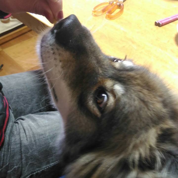 813b613f f3b9 4f62 a078 299d8f0e0470 1543641284985