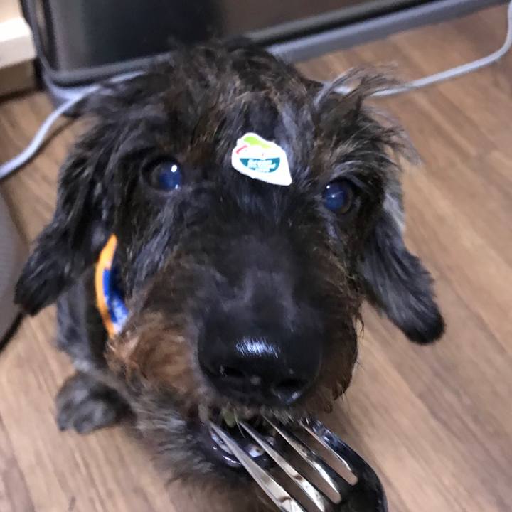 813b8371 5870 4067 b3c4 e3bb660e4764 1535866249925