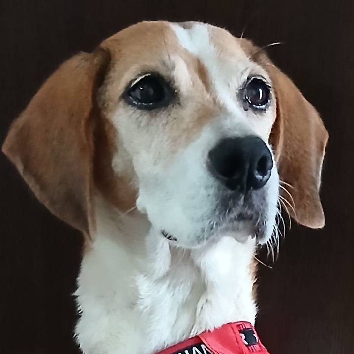 813ba3fd ed33 4a72 b69a 849954528256 1758514986645