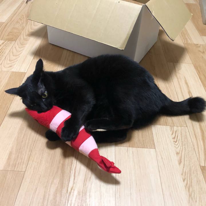 813c30e9 dccd 4aa3 a9c6 5d2f34bbc85e 1554727514631