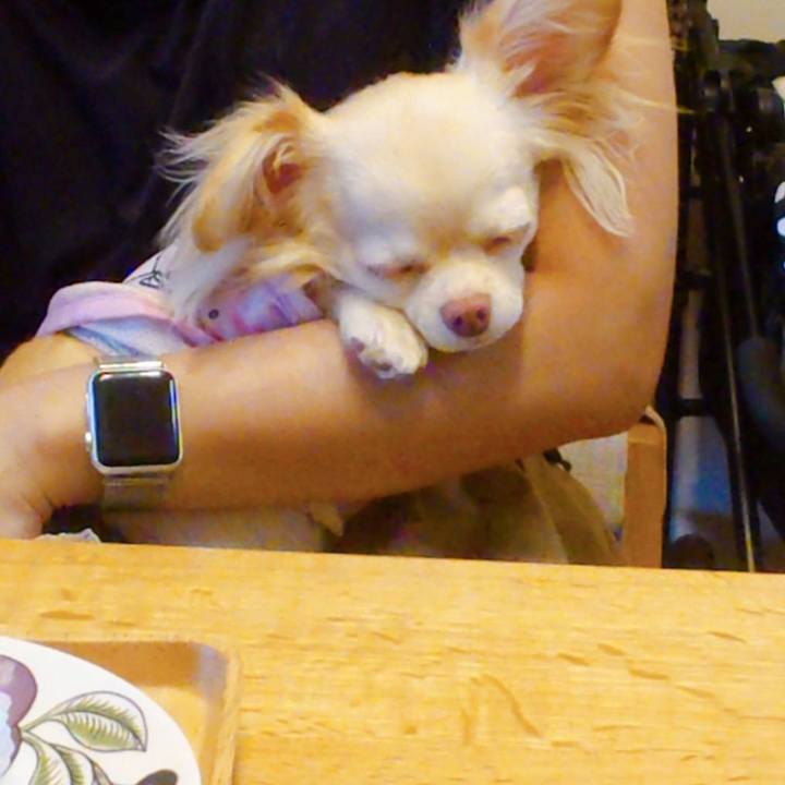 813c3a83 d694 4f62 a81d bd52d96b8231 1628132311847