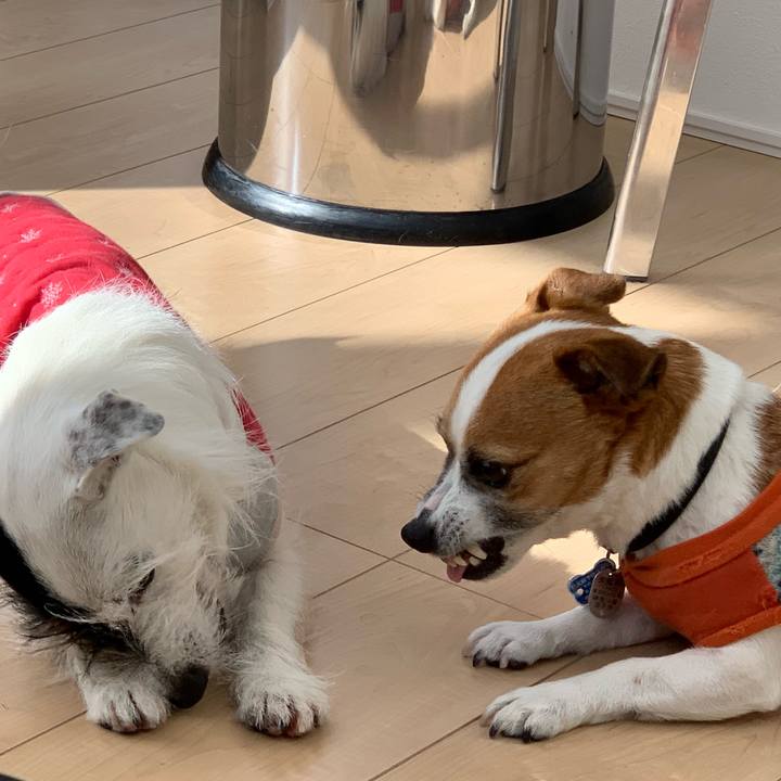 813c4b0e 00a0 40d7 b689 75461d7bf566 1549244005925