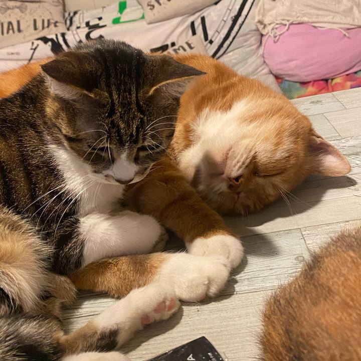 813c6642 c7fc 4d63 951e c723ae80ca65 1607527044894