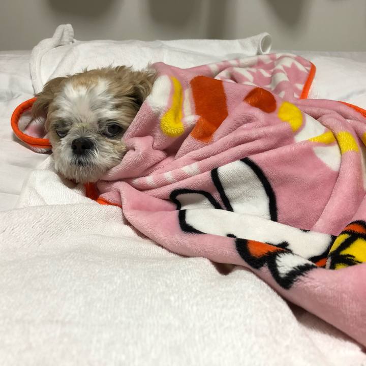 813c8573 44ed 49bd 8d3e 83eed5e6ce39 1574200003260