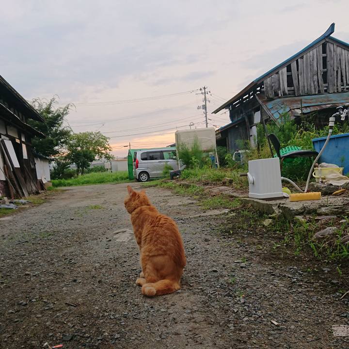 813c8fae 97a5 4ce0 9095 9277b00fa331 1661204930284