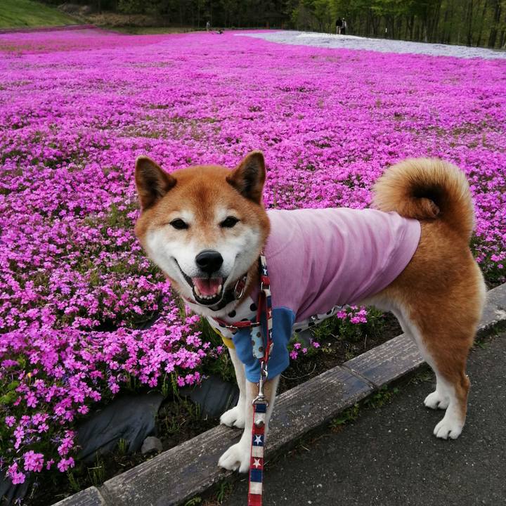 813cb049 b3f9 4686 b365 7bcd3283f67f 1682519237781