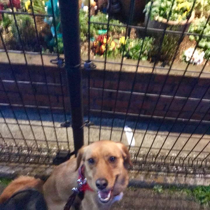 813cb1e8 4d5d 463c af69 c164d7dc12fb 1521022513095