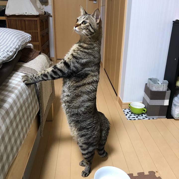 813cc7e9 34be 4ce3 adee afe45f2d2e46 1516610108428