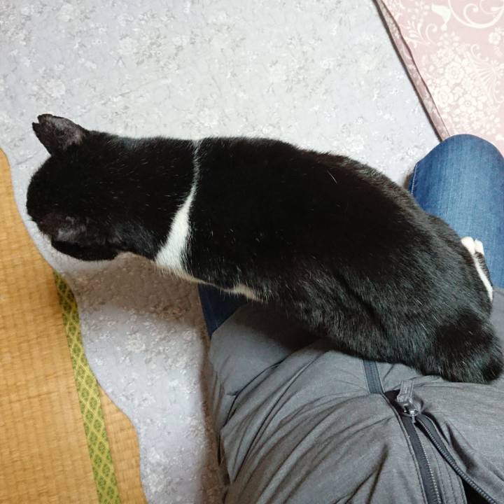 813d197d 963e 4642 a65d 73100f8c4412 1675247915126