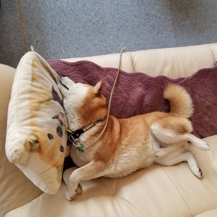 813d26a2 35ab 4035 b305 d3eaf285b852 1623804777120