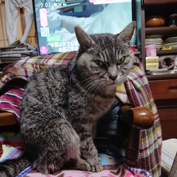 813d2736 cee6 4540 a34d e6eb4f653764 1579825345084