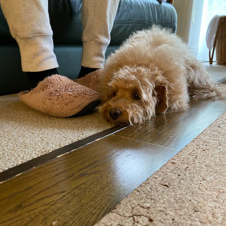 813d3792 622a 4887 8bdc 02cabb778f4d 1632265157681