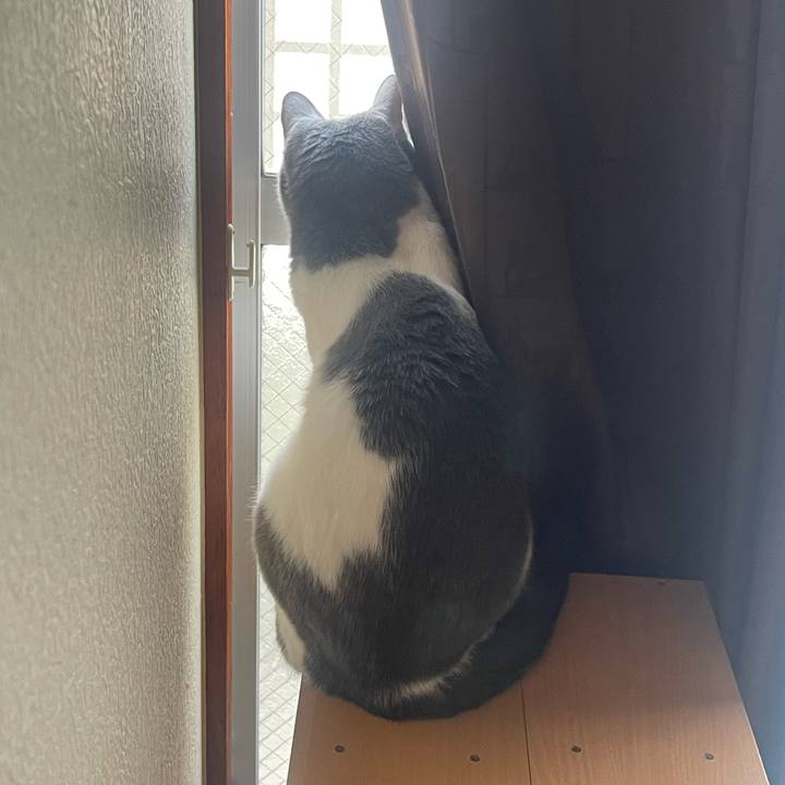 813d38c8 2bd8 4310 9029 cc8f8035cd7c 1685574207064