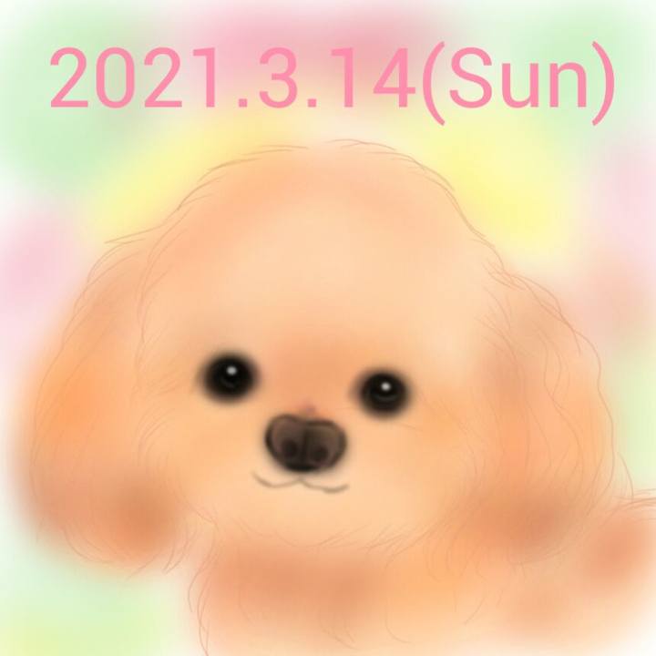 813d477d 8172 4d2e a61b 093106ec57a9 1615720665865