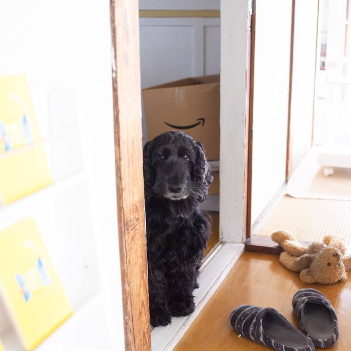 813d6339 c389 488c 91fc 151b7188c76e 1548158859443