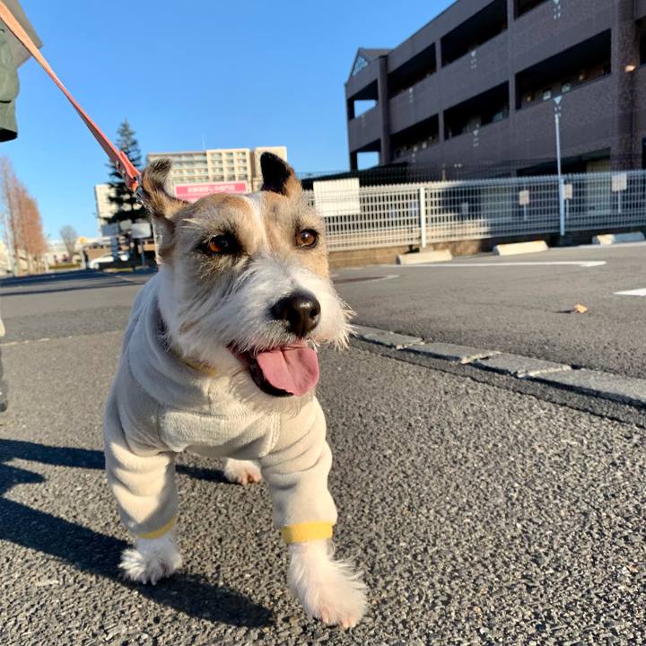 813df181 8f84 4e35 9dc5 abb6d948f06b 1644133651447