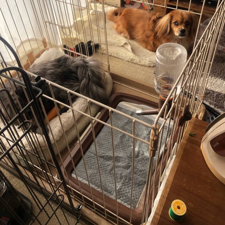 813e6d2f 0b91 43f9 88c2 8e3a8679b621 1543065718465