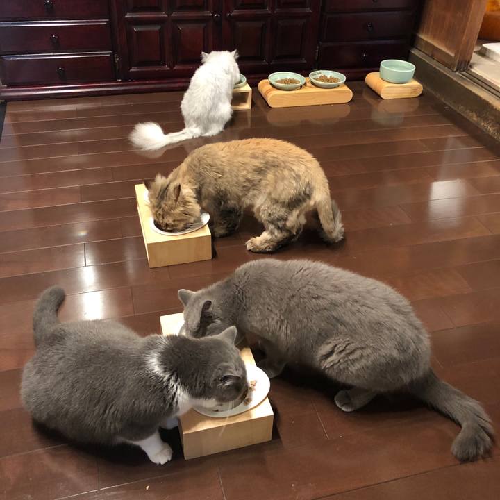 813e6f05 4a7f 4161 9a6f e0b45e79cd05 1562673854110