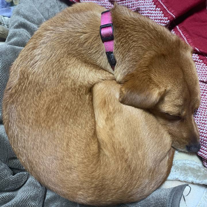 813e74d3 fe90 4f01 8bc8 334761703232 1575327654482