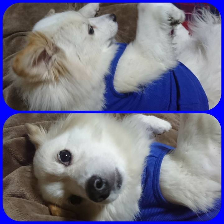 813e99b2 3a43 4e39 bca1 1ef59e5e66fc 1519135658051