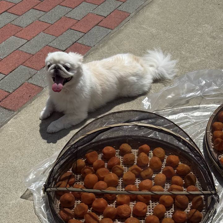 813ece32 7d26 4143 a7bc 70f1ece560cf 1752897875131