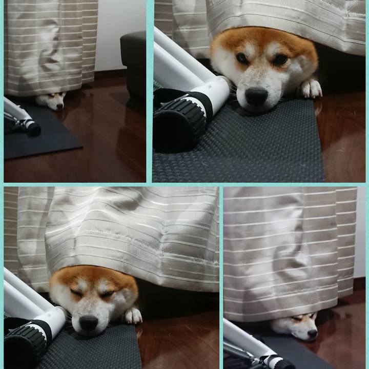 813eddfd 495b 4842 b5e6 b3e65eb21be7 1537355912082