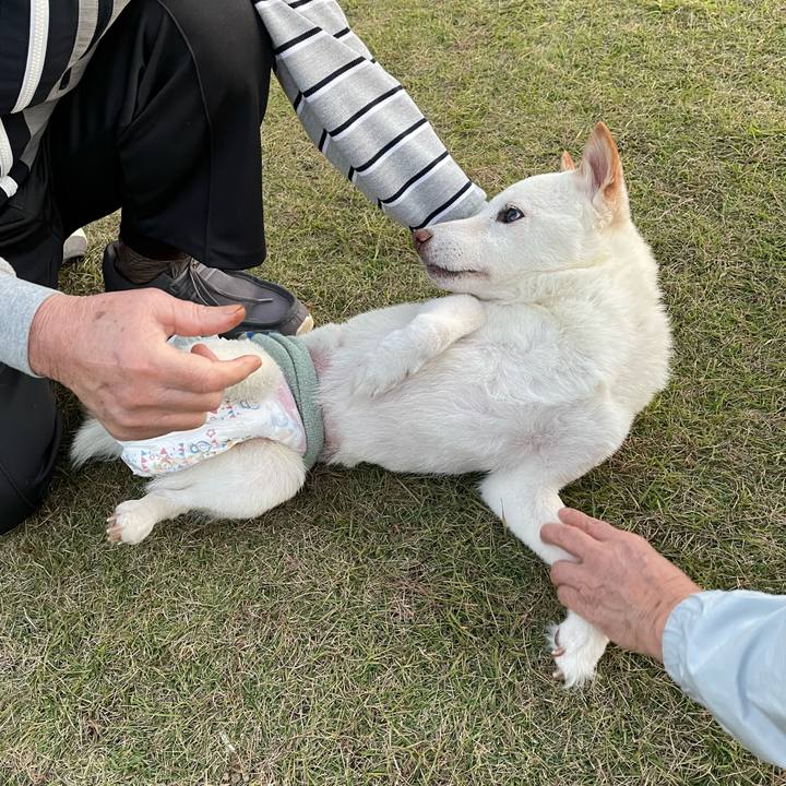 813ef53b a9da 480e ae07 7e8c5defb43f 1668425791679