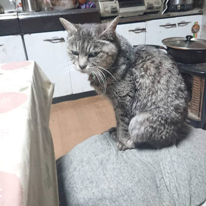 813f0ad4 5a97 463f b11a 73c83d706e7f 1607206231533