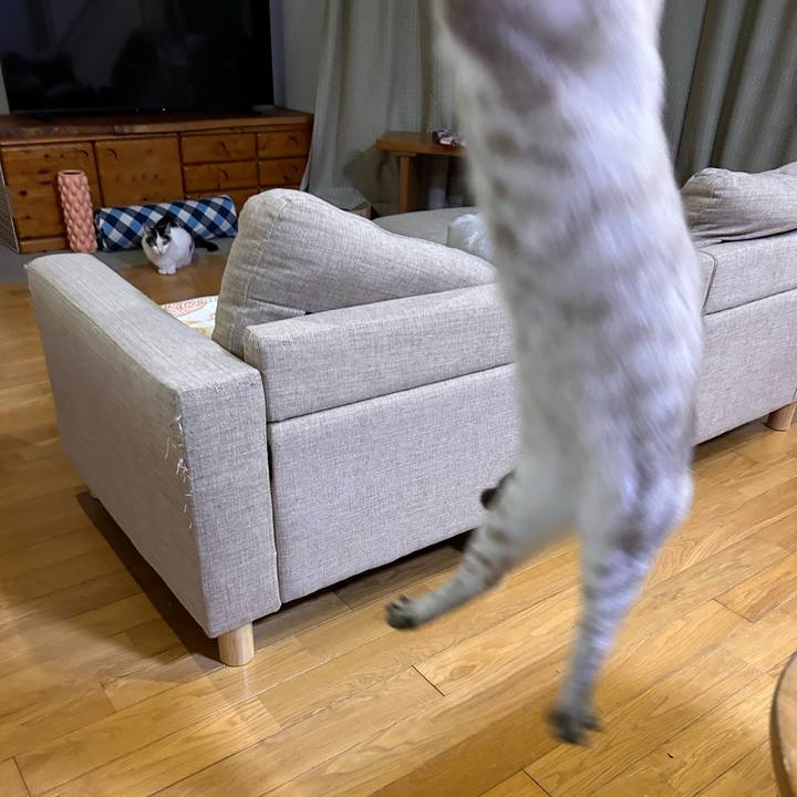 813f3e1b c036 44bb 86c5 14baf53ed4a9 1762602692075