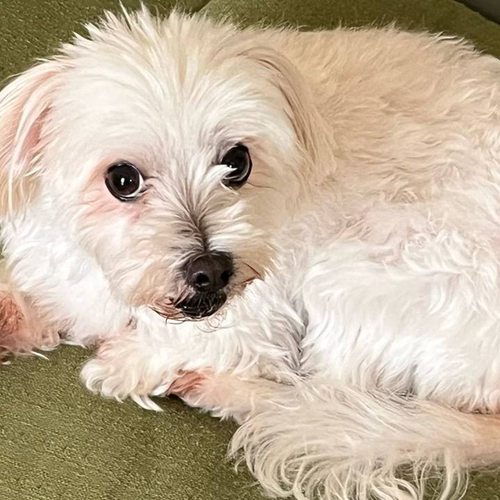 813f4ee2 05a5 4922 b9db dac054707422 1728647797199