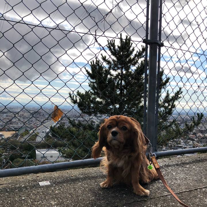 813f6f66 3c22 4513 b66b c2263e6d162f 1609293266128