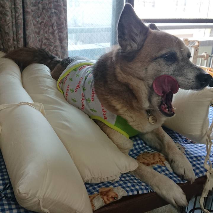 813f89fb bbea 4ca7 9d08 149a333cef1a 1557630782371